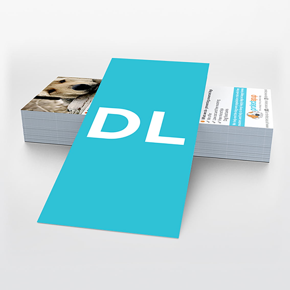 DL